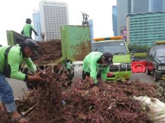 Pemkot DKI Perbaiki Tanaman Rusak di Bundaran HI Saat Malam Tahun Baru