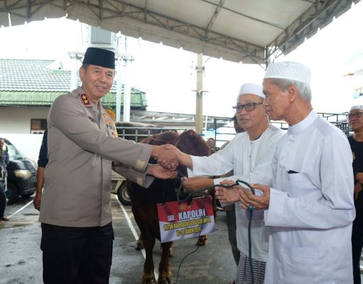 Kapolri Sumbang Sapi Limousine Untuk Haul Tokoh Agama di Kalsel