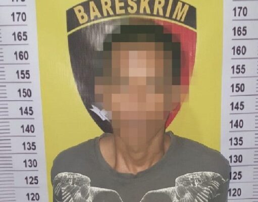 Polsek Tegineneng Tangkap Pelaku Pembobol Rumah