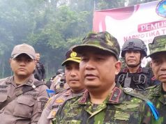 BNN Selidiki Kepemilikan 4 Hektare Ladang Ganja di Aceh Besar