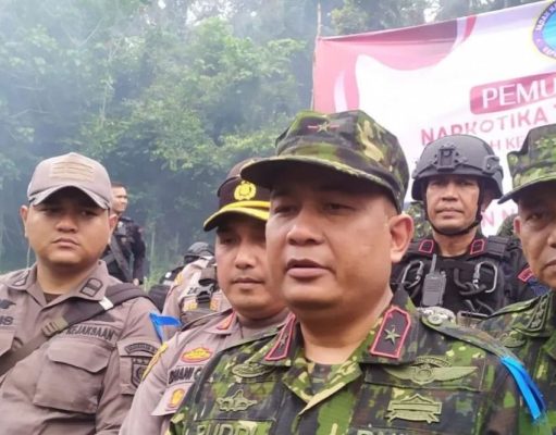 BNN Selidiki Kepemilikan 4 Hektare Ladang Ganja di Aceh Besar