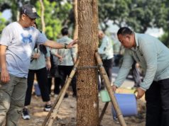 Jalan Kembang Kerep Meruya Utara Kuning dihiasi 13 Tabebuya
