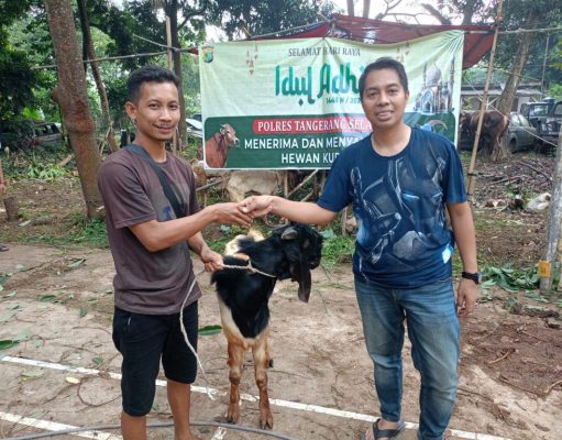 Sambut Idul Adha 1445, Polres Tangerang Selatan Membagikan 66 Ekor Hewan Kurban