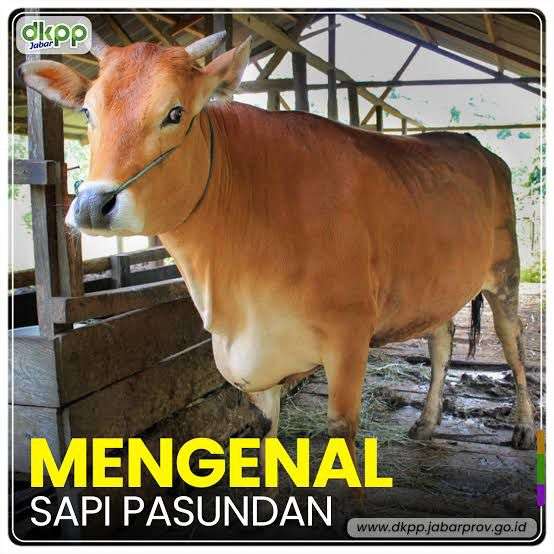 1721645964-WhatsApp-Image-2024-07-22-at-15.21.15