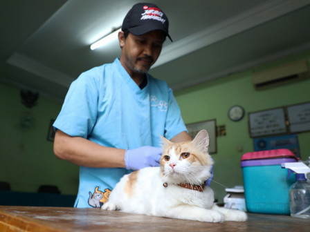 6d8f385e02511f7fe35be8222f8af6e5