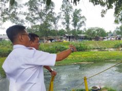 Dinas KPKP Verifikasi Lokasi Lomba Konten Video Urban Farming