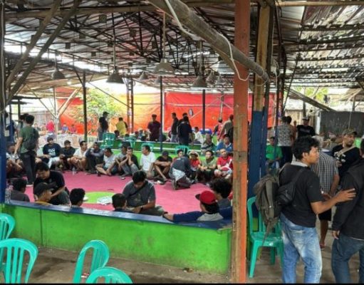 Polisi Gerebek Lokasi Judi Sabung Ayam di Bekasi, 70 Orang Berhasil Diamankan