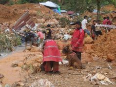 Polda Gorontalo Libatkan Satwa K-9 dalam Proses Evakuasi Longsor di Lokasi Tambang Suwawa, Bone Bolango