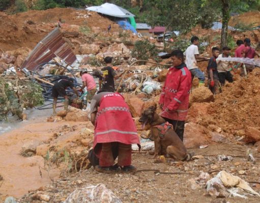 Polda Gorontalo Libatkan Satwa K-9 dalam Proses Evakuasi Longsor di Lokasi Tambang Suwawa, Bone Bolango