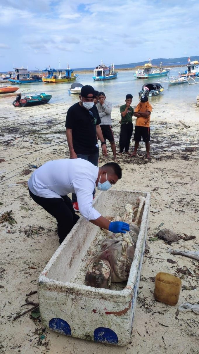 IMG-20240723-WA0009-1