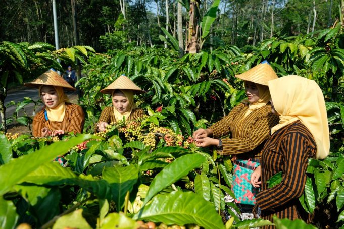 IMG-20240730-WA0025-2-1536x1025