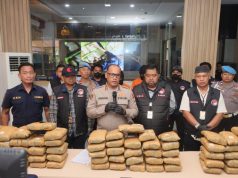 Peredaran Ganja 77 Kilogram Digagalkan Polrestro Jakarta Utara