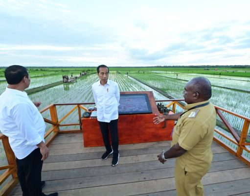 Simulasi Drone Tabur Pupuk di Papua Selatan Ditinjau Presiden Jokowi dan Ibu Iriana