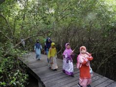 Kebun Raya Mangrove Surabaya Punya Koleksi Tanaman Terlengkap Se Indonesia
