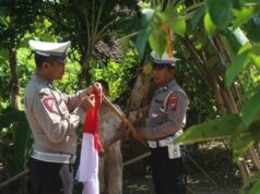 Polantas Trenggalek Bagikan Ratusan Bendera Merah Putih, Gugah Semangat Nasionalisme