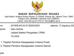 Pemerintah Buka Pendaftaran Seleksi CPNS pada 20 Agustus 2024