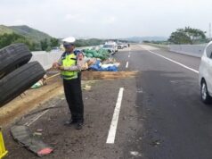 Akibat Pecah Ban, Truk Muat Sayuran Terguling di Tol Batang-Semarang