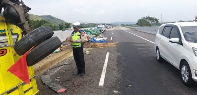 WhatsApp-Image-2024-08-13-at-20.39.55-768x373