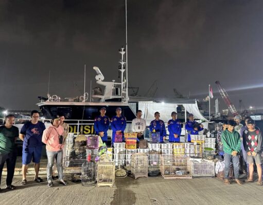 Polisi Gagalkan Penyelundupan Ribuan Satwa Dilindungi di Perairan Sunda Kelapa