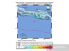 Menurut BMKG Aktivitas Lempang Megathrust Sebabkan Dua Kali Gempa Susulan di Gunung Kidul