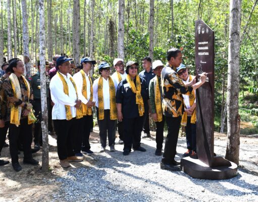 Presiden Jokowi Canangkan Kawasan Wanagama Nusantara di IKN