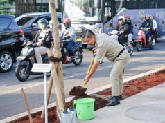 Pj Gubernur Teguh Tanam Pohon di Jalur Hijau Jalan HR Rasuna Said