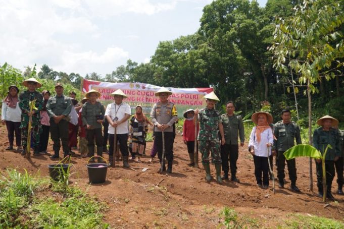 WhatsApp-Image-2024-11-20-at-14.47.31-2-768x512