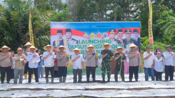 WhatsApp-Image-2024-11-20-at-15.59.11-768x432