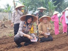 Dukung Ketahanan Pangan Polres Sukabumi Kota Tanam 5000 Bibit Jagung di Mapolsek Warudoyong