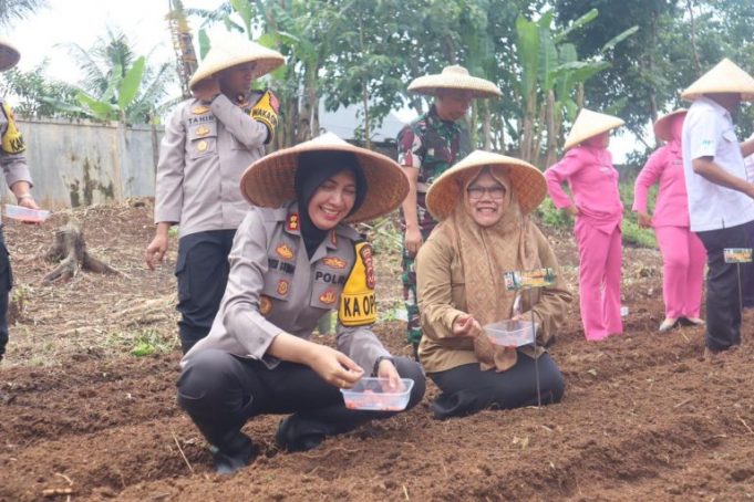 WhatsApp-Image-2024-11-21-at-08.52.28-768x512