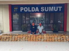 Polda Sumut Sita 272 Kg Ganja Asal Ganja dan Tahan 2 Tersangka