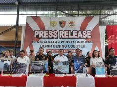 Bareskrim Polri Gagalkan Penyelundupan 151 Ribu Benih Lobster di Perairan Bintan