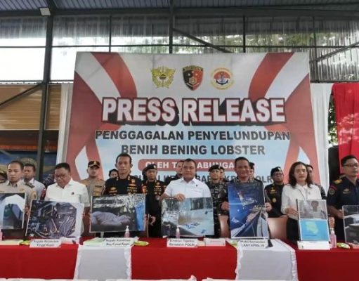 Bareskrim Polri Gagalkan Penyelundupan 151 Ribu Benih Lobster di Perairan Bintan
