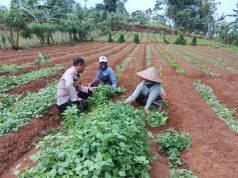 Wujudkan Asta Cita Bhabinkamtibmas Sosialisasi Program Pekarangan Pangan Bergizi