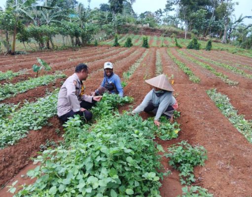 Wujudkan Asta Cita Bhabinkamtibmas Sosialisasi Program Pekarangan Pangan Bergizi