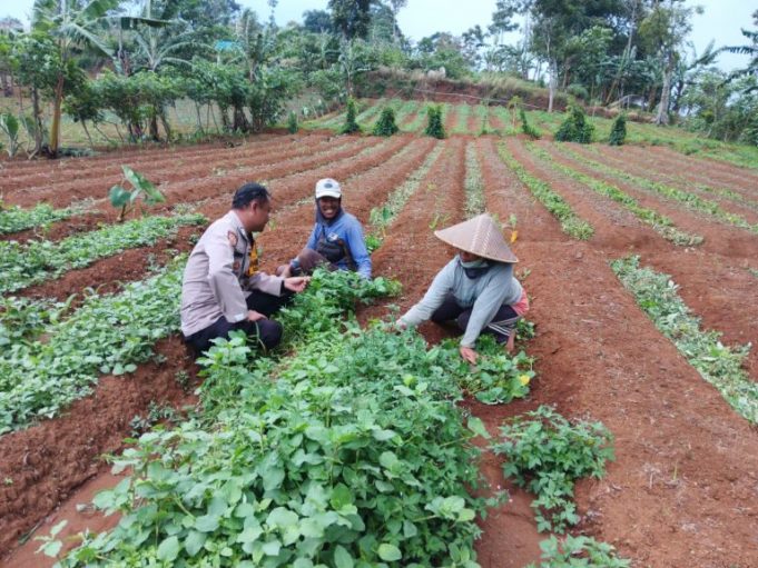 5b3a34b8-a08a-453b-a61f-341448d61f0c-768x576