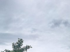 Dukung Asta Cita Bhabinkamtibmas Desa Cipatik Ajak Warga Tanam Tanaman Bergizi