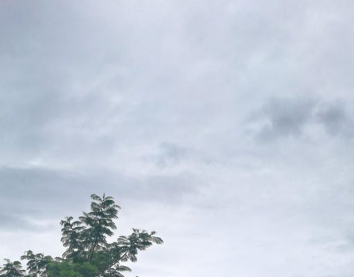 Dukung Asta Cita Bhabinkamtibmas Desa Cipatik Ajak Warga Tanam Tanaman Bergizi