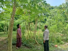 Dukung Asta Cita: Bhabinkamtibmas Polres Bangkalan Pastikan Ketahanan Pangan Di Wilayah Binaan
