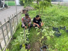 Dukung Ketahanan Pangan Bhabinkamtibmas Jemundo Sambangi Perkebunan Warga
