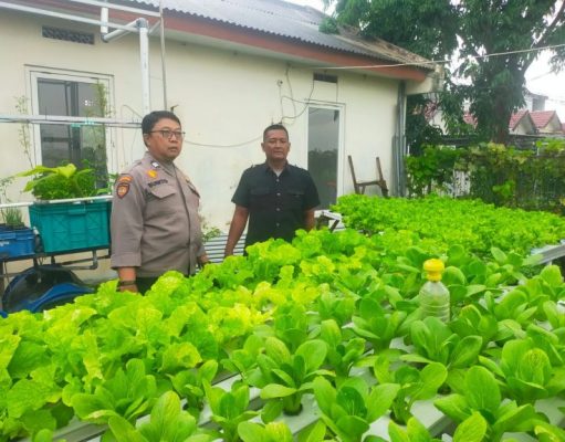 Bhabinkamtibmas Desa Keboansikep Kunjungi Budidaya Hidroponik Sayuran