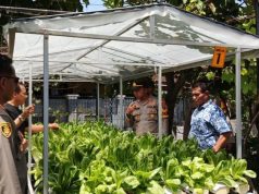 Kapolsek Sidoarjo Kota Pantau Lahan Produktif Warga Kelurahan Lemah Putro