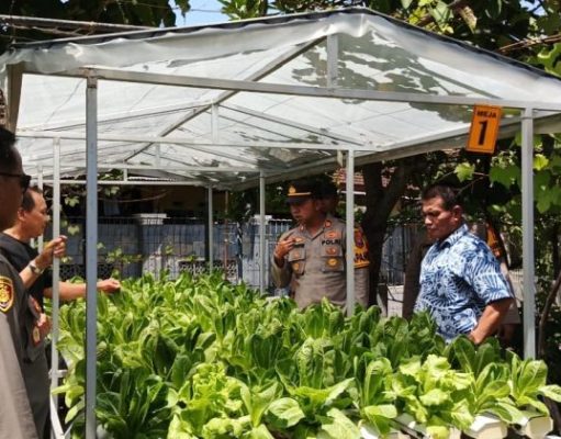 Kapolsek Sidoarjo Kota Pantau Lahan Produktif Warga Kelurahan Lemah Putro