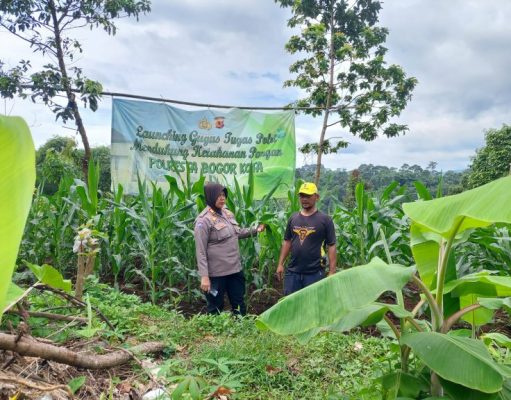 Polresta Bogor Kota Monitoring Ketahanan Pangan Pertanian Jagung Kelompok Tani Sugih Rahayu