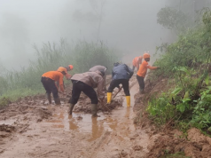 Longsor di Petungkriyono Petugas Gabungan Berhasil Evakuasi 17 Warga Terdampak 8 Orang Dalam Pencarian