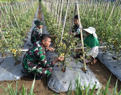 Lanud Husein Sastranegara Aktif Dukung Ketahanan Pangan