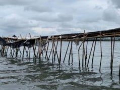 Dalam Polemik Pagar Laut Tangerang Polri Menduga ada Pemalsuan Dokumen dan Cuci Uang