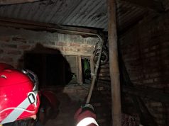 Personel Gulkarmat Jaktim Evakuasi Ular Sanca Sepanjang Tiga Meter