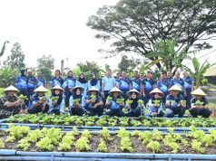 Lanud Husein Sastranegara Perkuat Ketahanan Pangan dengan Penanaman Pohon Alpukat dan Panen Sayuran