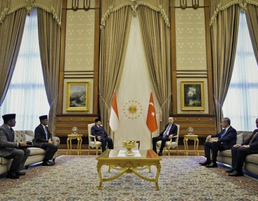 Presiden Prabowo Gelar Pertemuan Tête-à-Tête, Hangat dan Penuh Persahabatan dengan Presiden Erdoğan